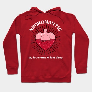 Necromantic Necromancer Funny Occult Wizard Halloween Hoodie